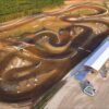Lucas Oil Speedway short-course aerial photo.